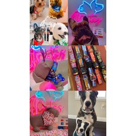 Accesorios personalizados y diseños exclusivos para los peluditos de la casa