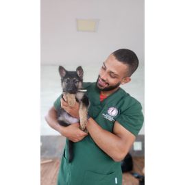 Atención domiciliaria para mascotas, manejo petfriendly y especialistas