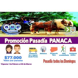 Panaca