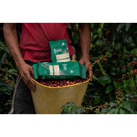 Café de origen