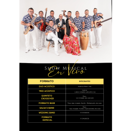 Shows musicales
