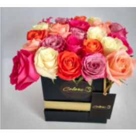 Box x 25 rosas
