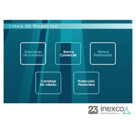 Consultoría y asesoría financiera.