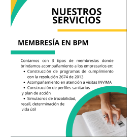 Servicios de consultoría empresarial