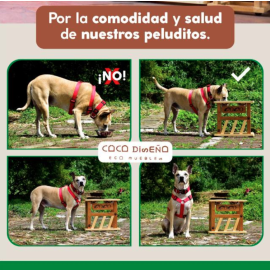 comedero para mascostas