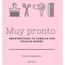 Reparación celulas madres