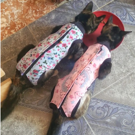 Fajas para mascotas