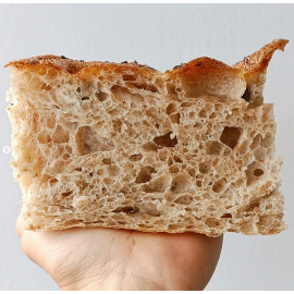 Masa madre panadería