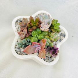 Recordatorio y/o Detalles Empresariales