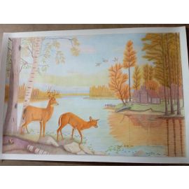 Pinturas elaboradas con óleo y lápiz de color