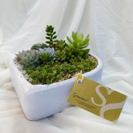 Jardín Cora M