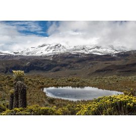 Nevado del Ruiz