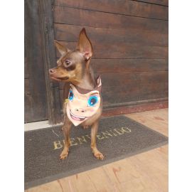 "Pañoletas diseñadas con plástico pet reciclado con diseños únicos y limitados, doble faz y con collar ajustable a la medida del cuello de la mascota