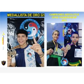 Academia artes marciales