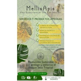 Miel de abeja multifloral